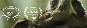 A screenshot from feature documentary 'the eagle with the sunlit eye' with film festival award laurels on the left hand side.